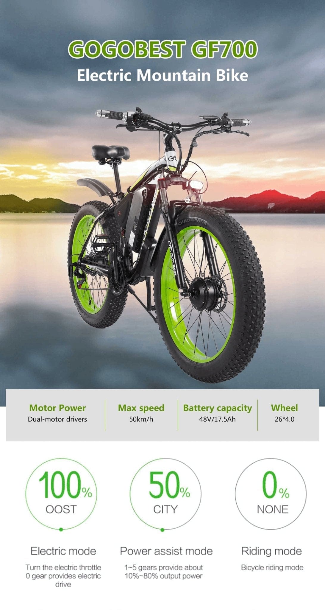 GOGOBEST GF700  Mountain Style Electric Bike 2*500W